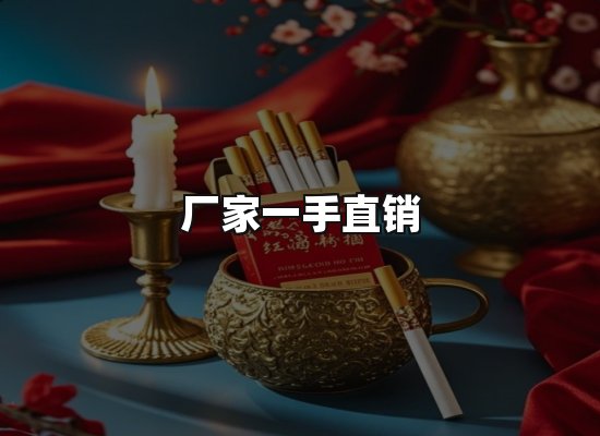 专业优势